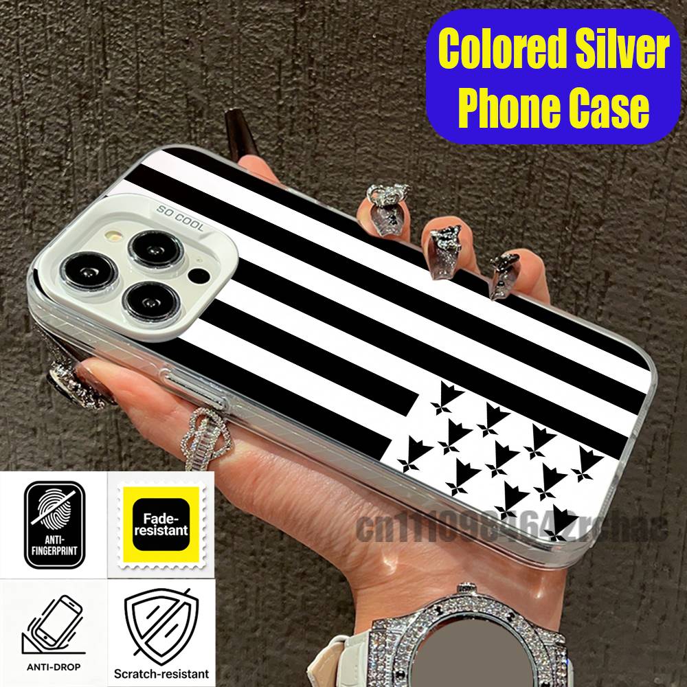 브리타니 프랑스 지역 깃발 휴대폰 케이스 아이폰 14, - Phone Accessories Logo 리뷰 및 가격